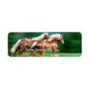 Search for palomino return address labels Horse