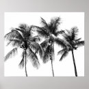 Search for black and white beach posters Tropical