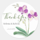 Search for orchid flower stickers Nature