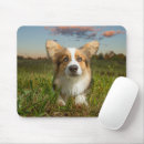 Search for the yard mouse mats Pembroke welsh corgi