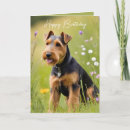 Search for welsh cards Dog