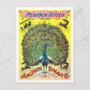 Search for buggy vertical postcards Vintage