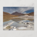 Search for altiplano postcards Chile