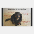 Search for cute cookie stickers Treat