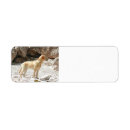 Search for black labrador retriever return address labels Cute