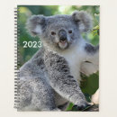 Search for aussie office supplies Koala