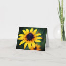 Search for bee note cards Floral