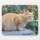 Search for kitty love mouse mats Beauty