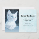 Search for pretty kitty invitations Feline