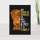 Search for french mastiff postcards Mastiffs