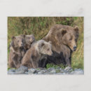 Search for cute mother postcards Cute baby animal