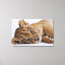 Search for panthera canvas prints Horizontal