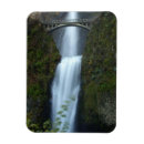 Search for multnomah fall magnets Forest