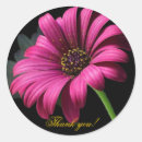 Search for gerber stickers Flower