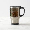 Search for longhorn mugs Cows