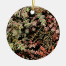 Search for desert christmas tree decorations Nature
