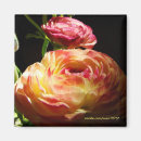 Search for steps magnets Flowers