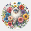 Search for ragdoll cat stickers Kitty