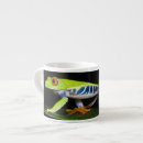 Search for tree frog mugs Agalychnis callidryas
