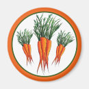 Search for bunch magnets Orange