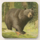 Search for tree coasters Nature