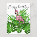 Search for funny flamingo birthday cards Animal