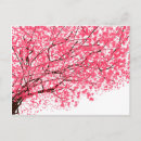 Search for cheery postcards Pink