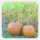 Search for cornfield stickers Halloween