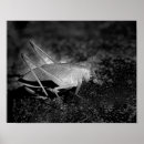 Search for grasshopper art Photography