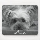 Search for yorky electronics Puppy