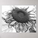 Search for black and white art Rustic