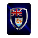 Search for anguilla magnets Flag