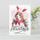 Search for beagle christmas cards Pet