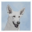 Search for white german shepherd posters Portrait