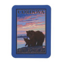 Search for cordova magnets States