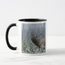 Search for bugle mugs Bull