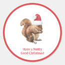 Search for christmas squirrel stickers Rodent