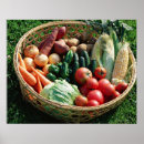 Search for fruit drink posters Food and drink