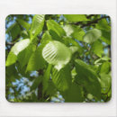 Search for spring tree mouse mats Nature