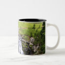 Search for mount rainier mugs Outdoors