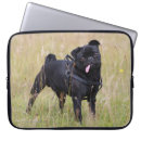 Search for dog with stick electronics Pug