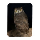 Search for back yard magnets Animal