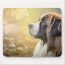 Search for bernard mouse mats Pet