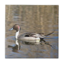Search for anas tiles Duck