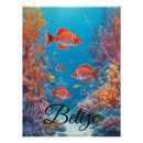 Search for belize posters Reef
