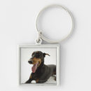 Search for pinscher key rings Black