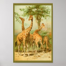 Search for vintage giraffe art Animal