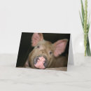 Search for pig valentines day cards I love you
