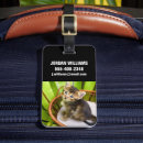 Search for basket travel accessories Cute