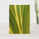 Search for agave cards Botanical